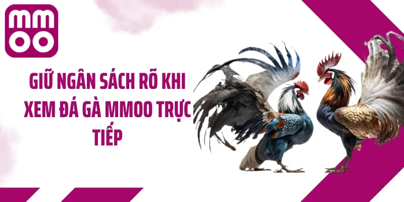 Giữ ngân sách rõ khi xem đá gà MMOO trực tiếp