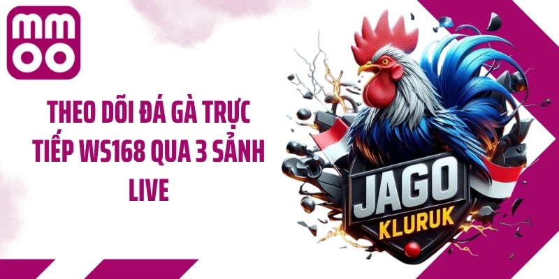 Theo dõi đá gà trực tiếp WS168 qua 3 sảnh live